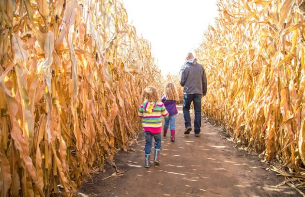 引用元：NEW YORK Family&lt;11 Corn Mazes To Wander Through Near NYC&gt;