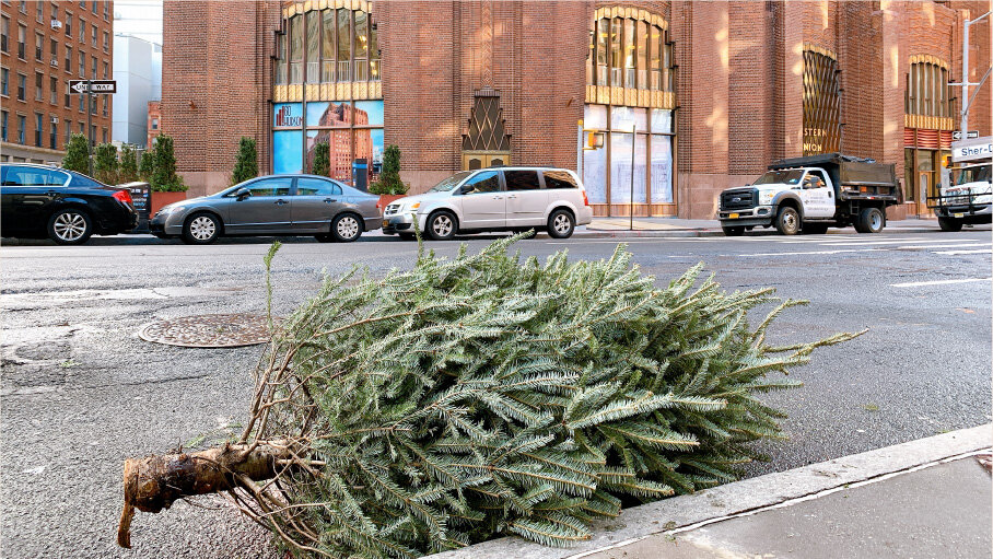 tree06.jpg